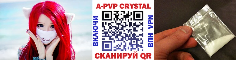 A PVP СК  Белгород 