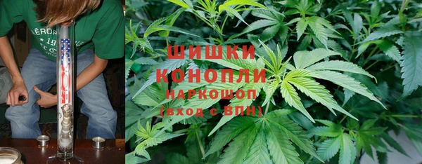 соль ск Новодвинск