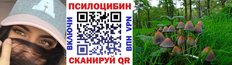 Галлюциногенные грибы прущие грибы  Белгород 