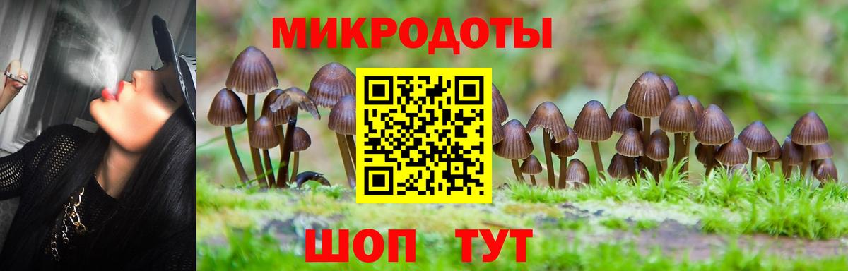 Псилоцибиновые грибы Cubensis  Галлюциногенные грибы Psilocybe  Вход с VPN  Белгород 